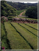 foto Laghi di Sao Miguel